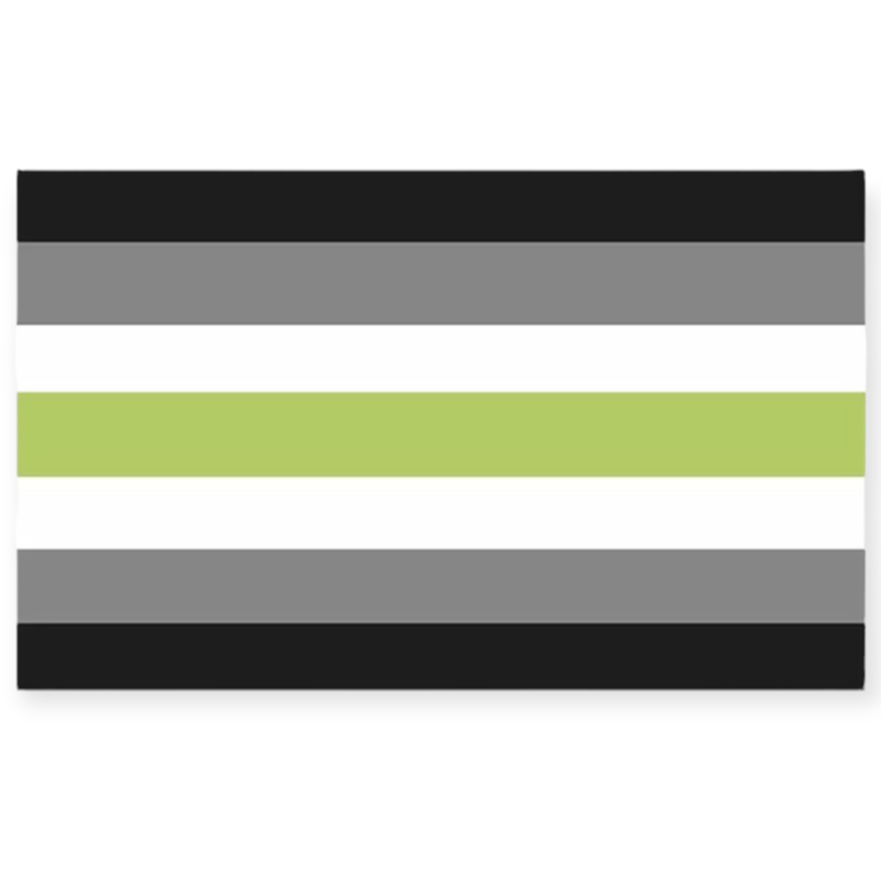 Vlag 'agender' 90 x 150 cm