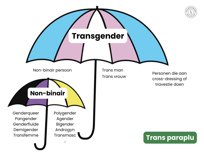 Non-binary gender, Genderqueer, Gender nonconforming, Gender identity, Transgender, Gender diversity, Gender fluidity, Agender, Bigender, Gender spectrum, Gender minority stress, Gender-affirming care, Non-binary mental health, Social recognition of non-binary, LGBTQ+ identities, Gender inclusive education, Non-binary youth, Gender expression, Intersectionality and gender, Non-binary and healthcare.