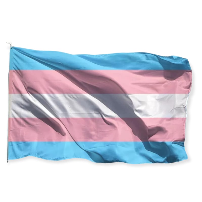 Trans vlag