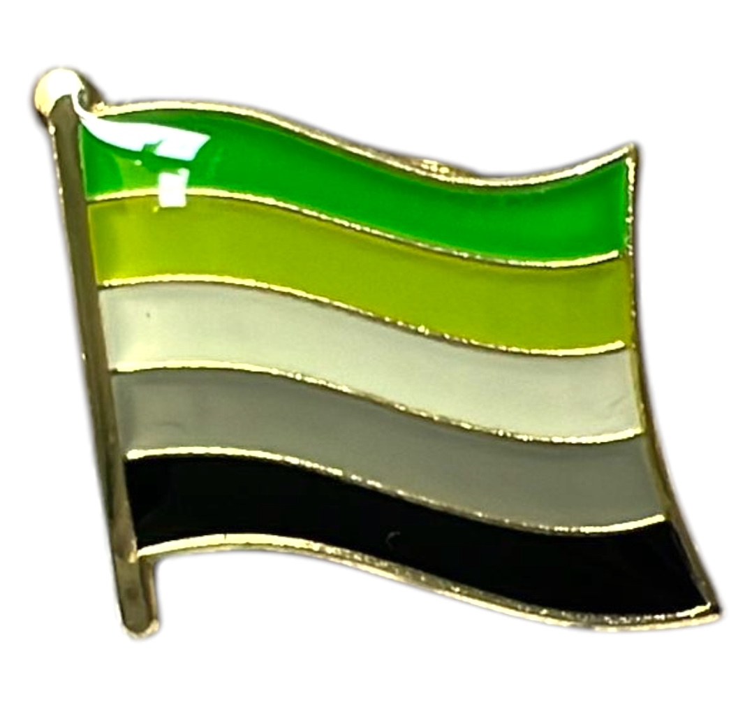 Pin (mini) vlag 'aromantisch'