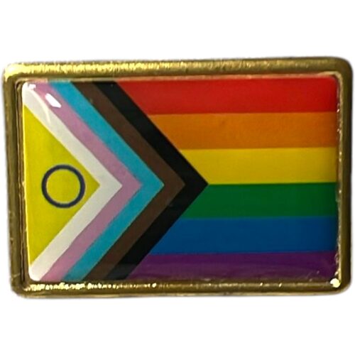Pin (plastic) vlag 'all-inclusive pride pride'