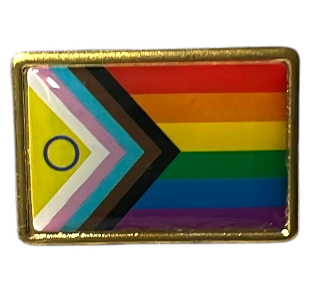 Pin (plastic) vlag 'all-inclusive pride pride'