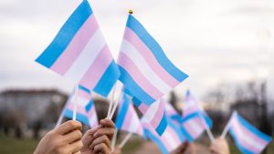 transgender-vlag